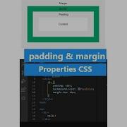 Css Padding And Margin Property Shorts