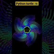 Python Turtle Graphics Video Pythonturtle Python Codingstatus