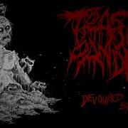 TRASH PANDA DEVOURED BY VERMIN CANNIBAL CORPSE COVER 2023 SW EXCLUSIVE