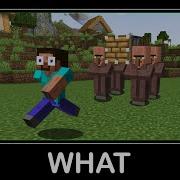 WAIT WHAT Minecraft 45