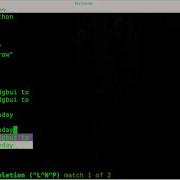 VIM Line Autocompletion BASH Linux