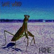Safe Word Home Deluxe Full Album Flashcore Cybergrind Experimental