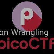 PicoCTF Python Wrangling