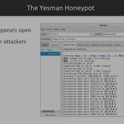 Basic And Low Level Python Network Attacks The Yesman Honeypot Packtpub Com