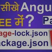 Angular 8 Tutorial For Beginners Part 4 Difference Between Package Lock Json And Package Json