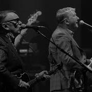 Squeeze Pulling Mussels From The Shell Live At Liverpool Philharmonic 2019