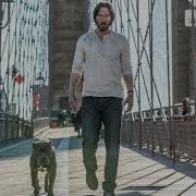 John Wick Glitter And Gold