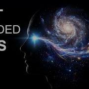 Did We Create The Cosmos By Looking At It