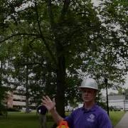 How To Measure The Average Crown Diameter Of A Tree