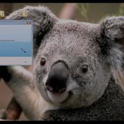 Visual Basic Click Game
