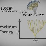 Cambrian Explosion That S A Fact