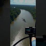 Anaconda Found In Amazon Is This Real Shorts Anaconda Amazon Jungle Forest Python Real