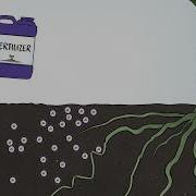 How Phosphorus Behaves In The Soil