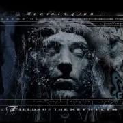 Fields Of The Nephilim Mourning Sun
