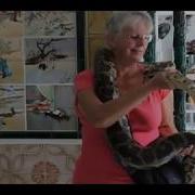 Snake Temple Penang Malaysia