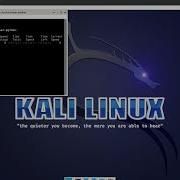 Python Running Selenium With Tor Browser In Kali Linux Docker Container
