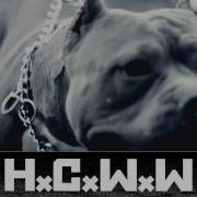 OBEY THE BRAVE LIVE AND LEARN HC WORLDWIDE HD HCWW