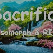 Besomorph RIELL Sacrifice Lyrics