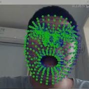2d Face Landmark Detection Realtime