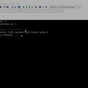 C 19 Void Functions