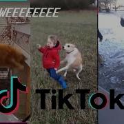 WEEEEEEEEE The Obada Weeeeeee TikTok Compilation