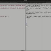 You Can Skip A Particular Iteration Of A Loop In Python