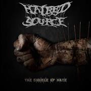 Fortress Of Violence