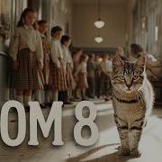 Комната 8 Документальный фильм Полный фильм Кошачья школа