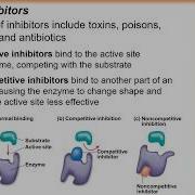 Chapter 8 Enzyme Regulation