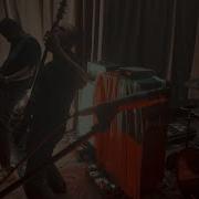 TORENA LIVE 9 19 23