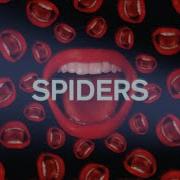 Spiders RAINNE Official Lyric Video