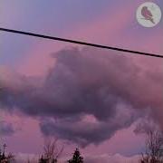 Connor Lafitte The Three Love Interlude