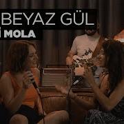 Gül Beyaz Gül Akustik Zeynep Bastık EzgiMolaa