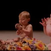 The Secret Life Of Babies Cats ITV