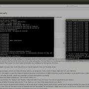 Debian Networking