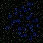 How Life Emerges From A Simple Particle Motion Law Introducing The Primordial Particle System