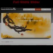 Awesome LayerSlider Responsive WordPress Slider Plugin