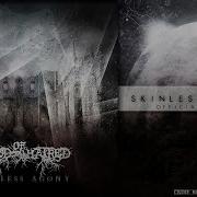 Brood Of Hatred Skinless Agony OFFICIAL VIDEO