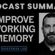 Tools To Enhance Working Memory Attention Huberman Lab