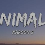 Animals Maroon 5 Lyrics