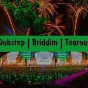 Dubstep Briddim Tearout Mix 2022 2023
