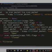 Malicious Python 3 Programming Port Scanner Specify Scan Type