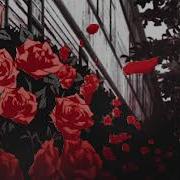 Noah Cyrus Again Ft Xxxtentacion Slowed Reverb