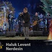 Haluk Levent NERDESİN