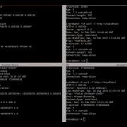 Testing Varnish Logs And Statistics In Web Servers