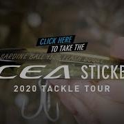 NEW FOR 2020 Ocea Sardine Ball Head Dip FlashBoost Stickbaits