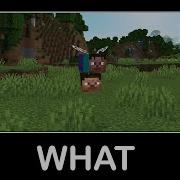 Wait What Minecraft 35