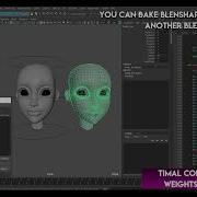 Maya Python Script Copy Deformers Weights