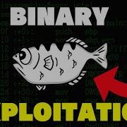 Binary Exploitation Is THE Future Of Hacking