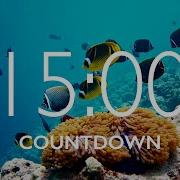15 Minute Timer With Relaxing Music And Alarm